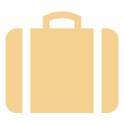 private driver with luggage